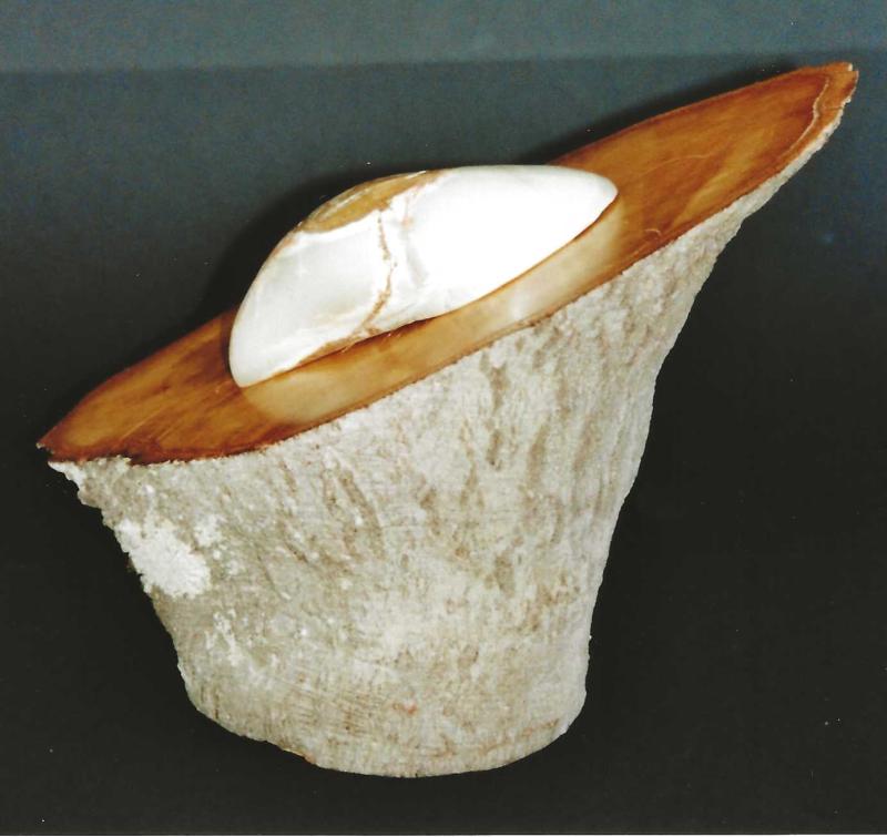 Image de la pièce numéro 362