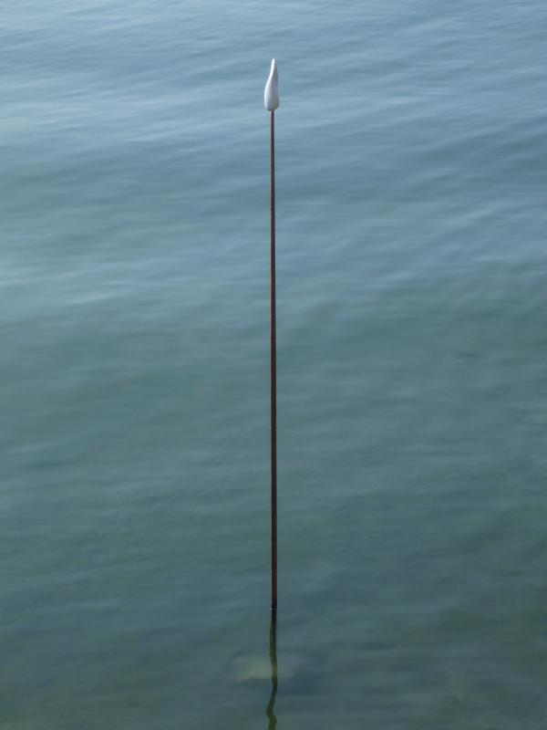 Image de la pièce numéro 516