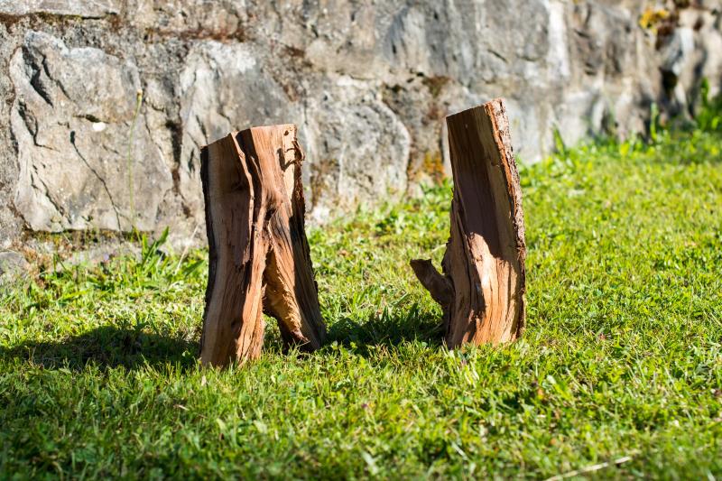 Image de la pièce numéro 528