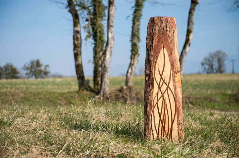 Image de la pièce numéro 529