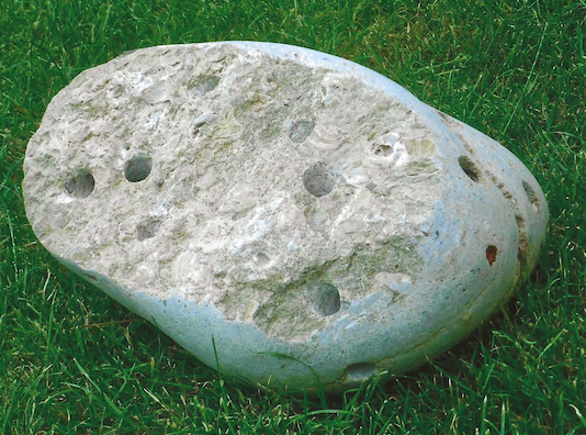 Image de la pièce numéro 550