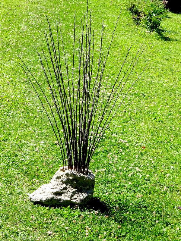 Image de la pièce numéro 567