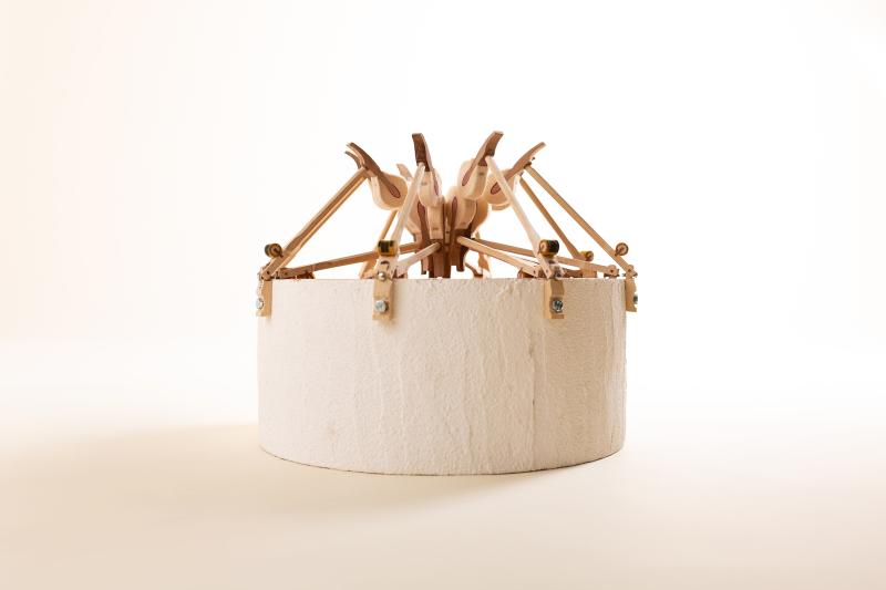 Image de la pièce numéro 571