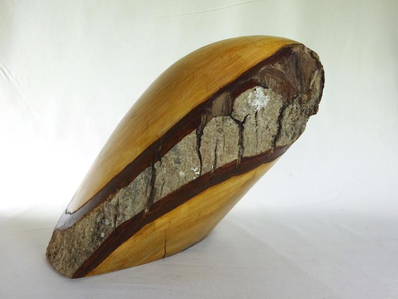 Image de la pièce numéro 596