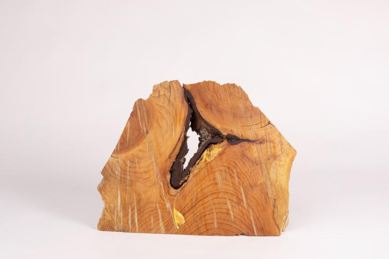 Image de la pièce numéro 691