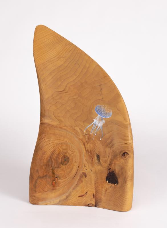 Image de la pièce numéro 695