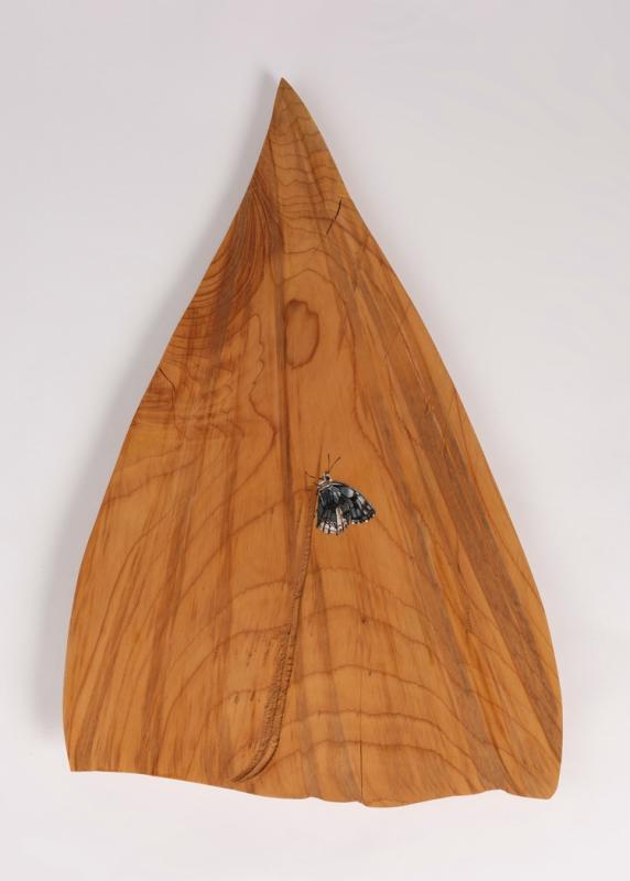 Image de la pièce numéro 705