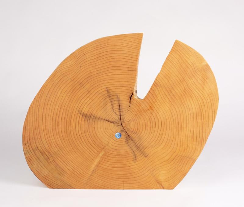 Image de la pièce numéro 716