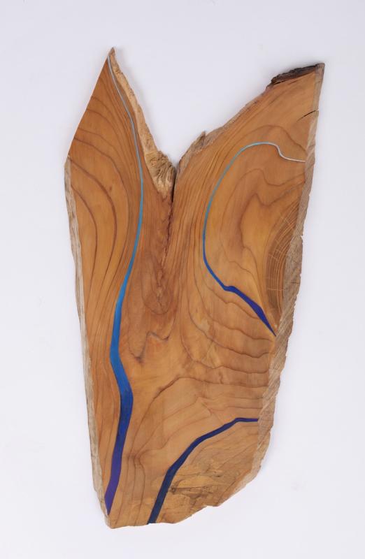 Image de la pièce numéro 729