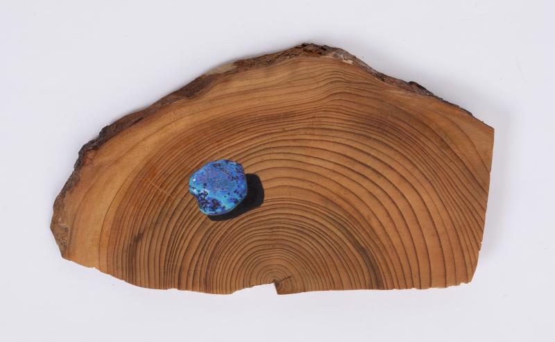 Image de la pièce numéro 731