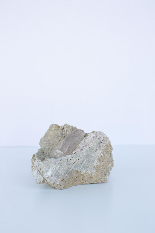 Image de la pièce numéro 742