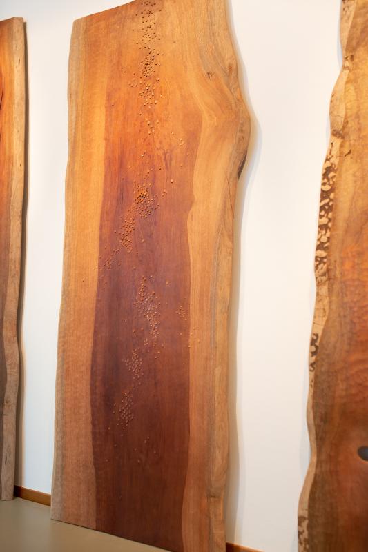 Image de la pièce numéro 769