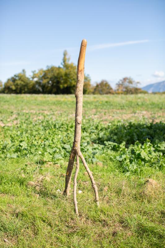 Image de la pièce numéro 772