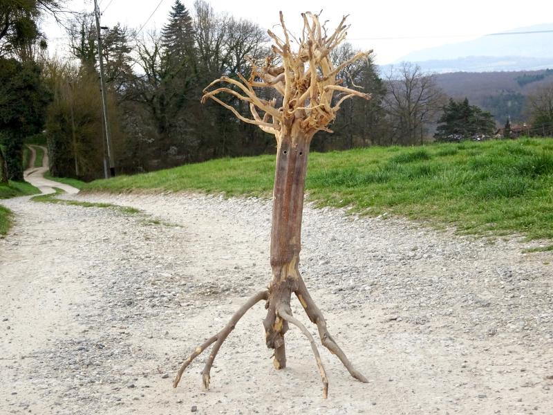 Image de la pièce numéro 778