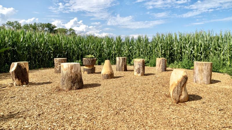 Image de la pièce numéro 796