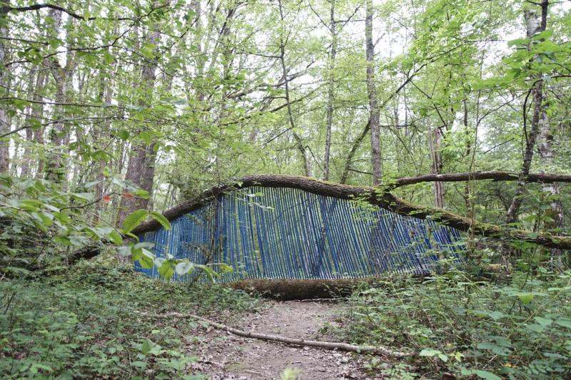 Image de la pièce numéro 851