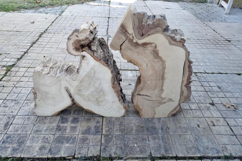 Image de la pièce numéro 853