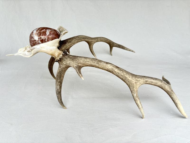 Image de la pièce numéro 877