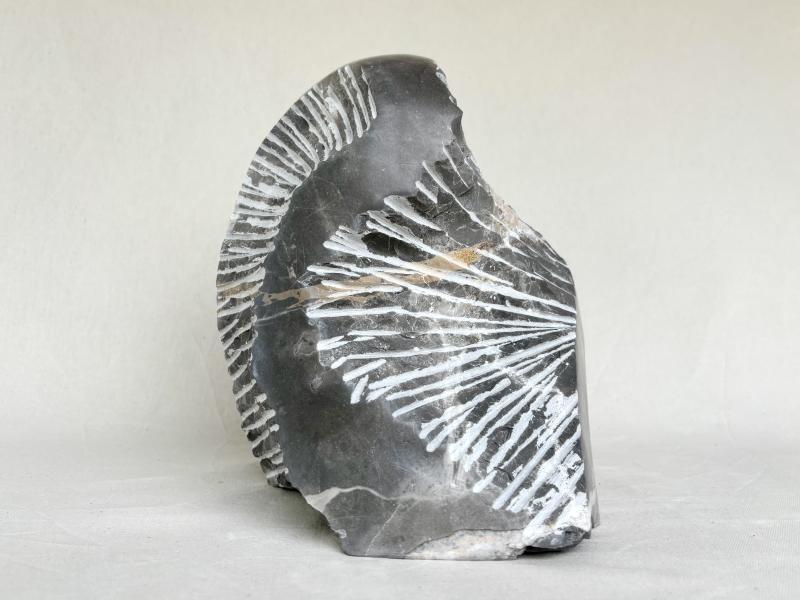 Image de la pièce numéro 883