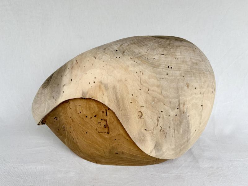 Image de la pièce numéro 891