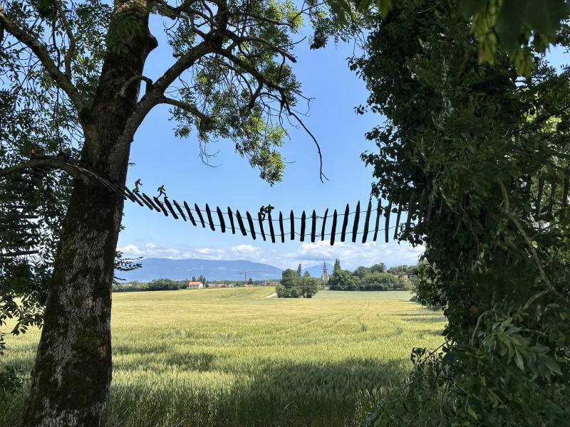 Image de la pièce numéro 894