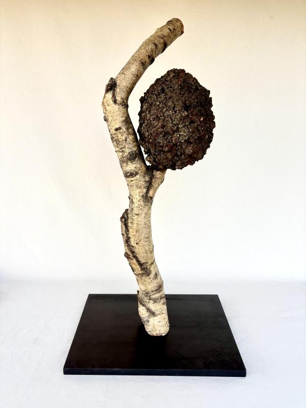 Image de la pièce numéro 899